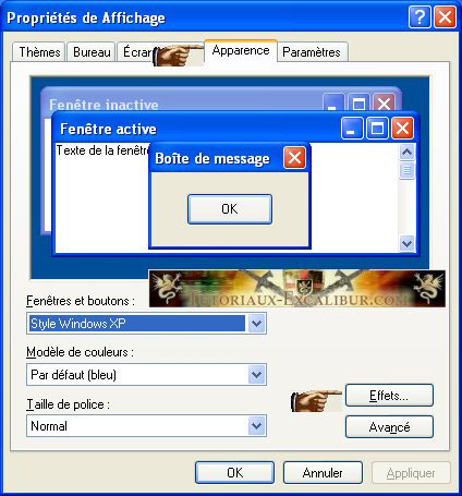 Apparence de Windows XP